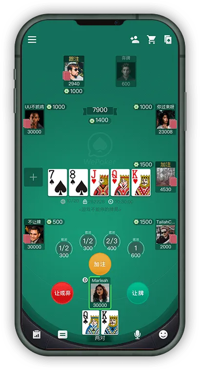 微扑克与wepoker官方网站对比：进阶用户怎么选、怎么验证